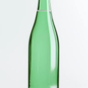 Soda (20 cl.)